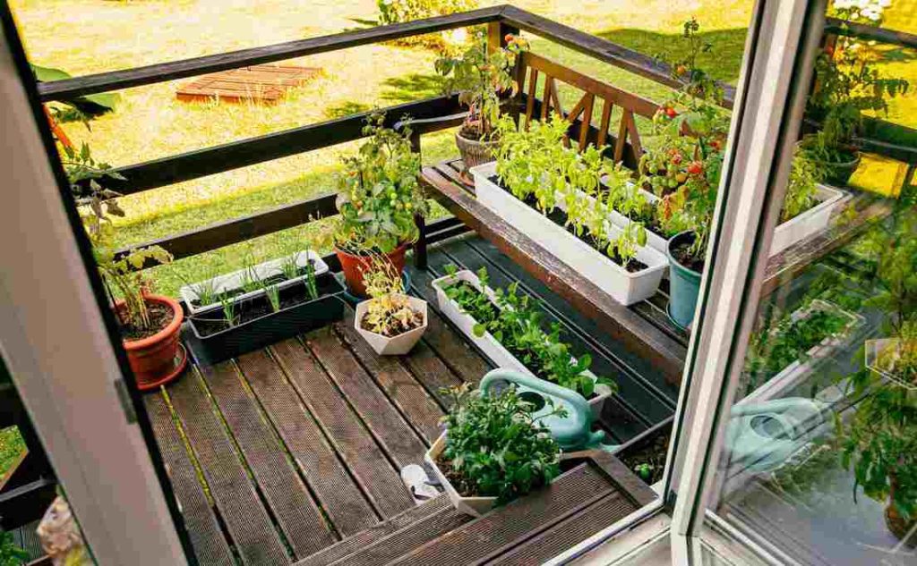 balcony (1)